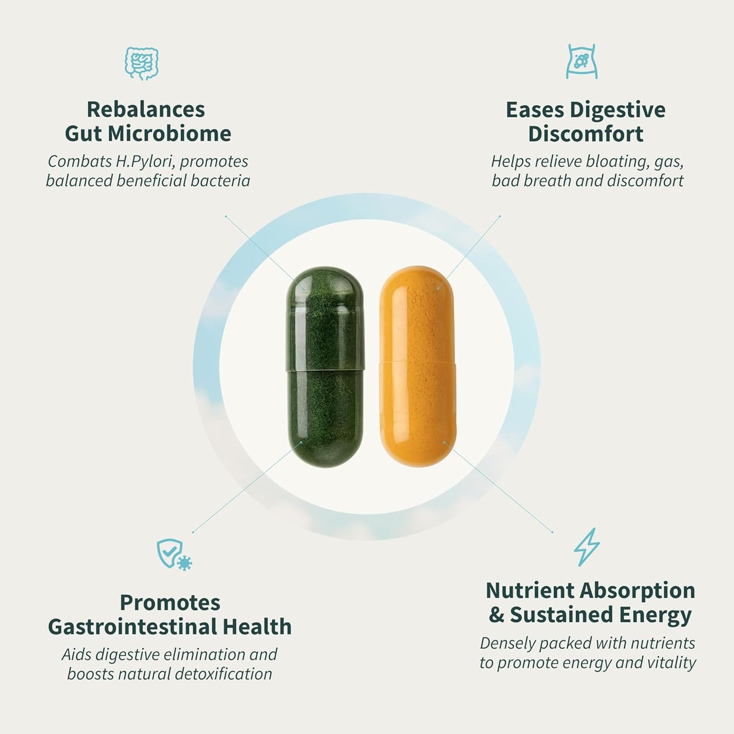 Gut Health Lipase Supplement